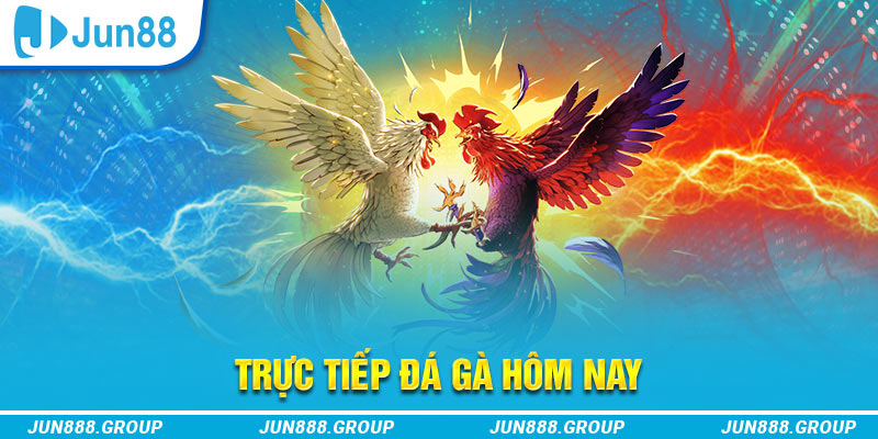 Trực Tiếp Đá Gà Hôm Nay Jun88: Đặt Cược Không Giới Hạn 1 Giới thiệu về trực tiếp đá gà hôm nay Jun88